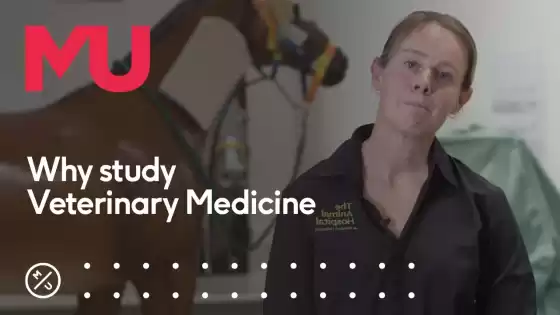Why study Veterinary Medicine