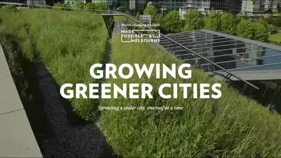 緑豊かな都市の成長