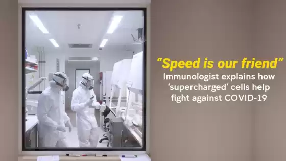 'La velocidad es nuestra amiga': Inmunólogo explica cómo las células 'sobrealimentadas' ayudan a luchar contra el COVID-19