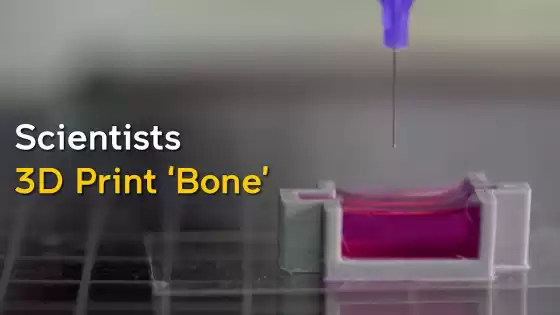Scientists use a novel ink to 3D print ‘bone’ with living cells