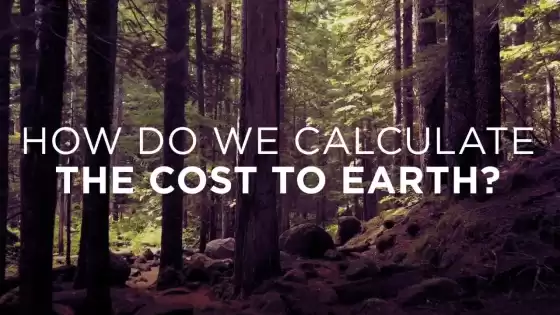 Come calcoliamo il costo per la Terra?