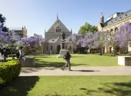 The University of Adelaide 