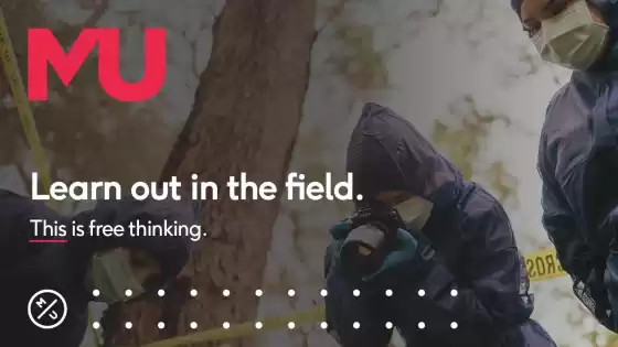 在現場學習——這是自由思考