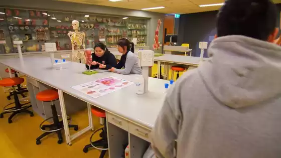 Apostamos por la docencia presencial | Universidad de Tasmania