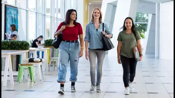 Studia al Berwick Campus della Federazione