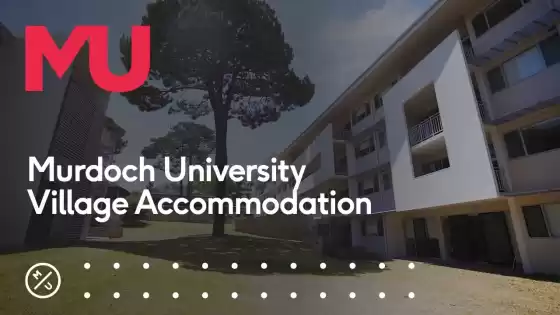 莫道克大學村住宿