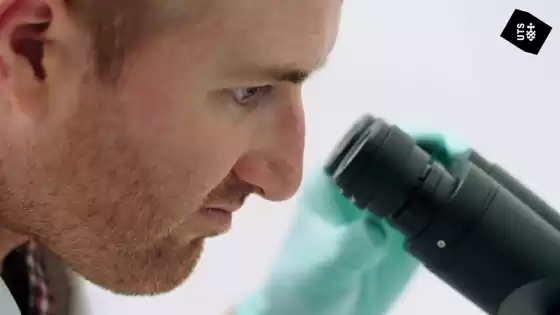 Gruppe Ozeanmikrobiologie
