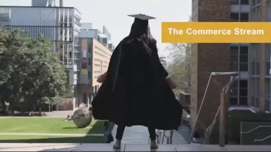 Commerce Stream - UNSW Foundation Studies