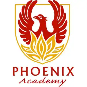 फीनिक्स अकादमी अब ऑनलाइन पाठ्यक्रम प्रदान कर रही है!